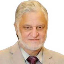 Muhammad Nasir Ameer