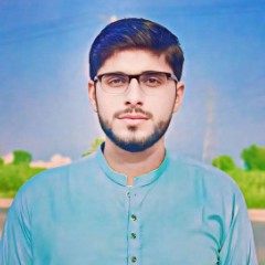 Amir Hussain